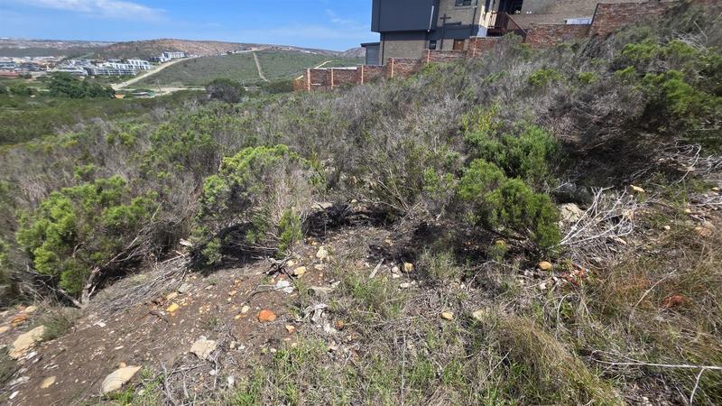 0 Bedroom Property for Sale in Seemeeu Park Western Cape